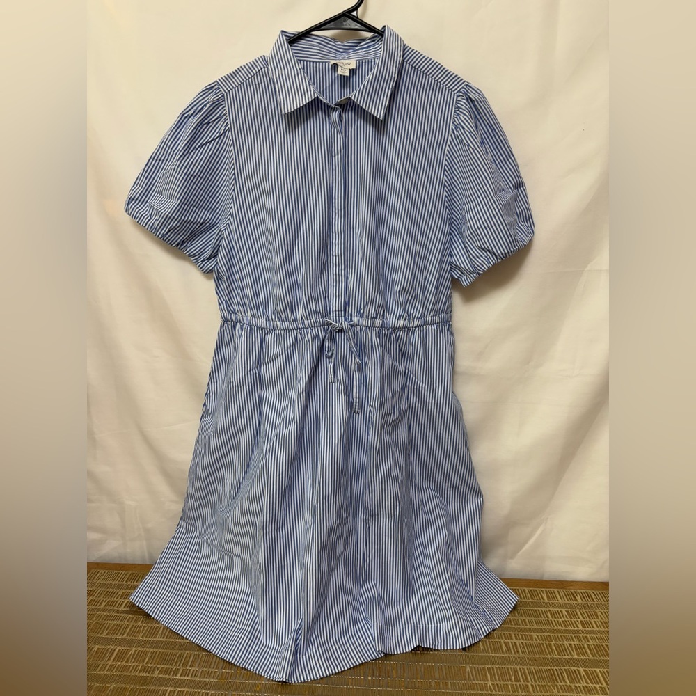 J. Crew Blue Striped Dress